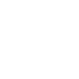 Fisioterapia                                                 width=